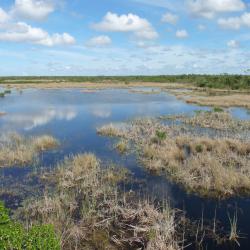 Everglades Nationalpark Tipps, Everglades Nationalpark Informationen, Everglades Nationalpark Erfahrungen, Everglades Nationalpark Empfehlungen, Everglades Nationalpark Infos