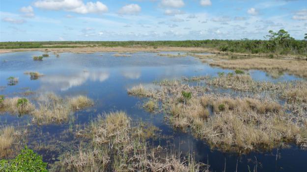 Everglades Nationalpark Tipps, Everglades Nationalpark Informationen, Everglades Nationalpark Erfahrungen, Everglades Nationalpark Empfehlungen, Everglades Nationalpark Infos