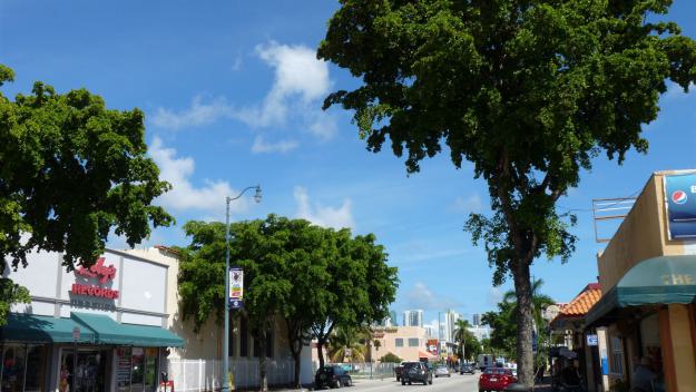 Miami Tipps, Miami Informationen, Miami Erfahrungen, Miami Empfehlungen, Miami Infos